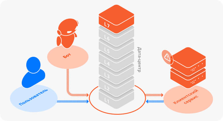 Прикладной уровень (L7)